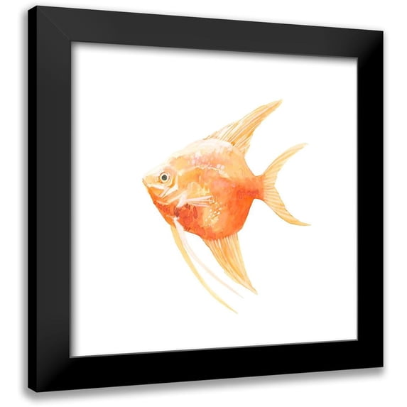 Scarvey, Emma 12x12 Black Modern Framed Museum Art Print Titled - Discus Fish III