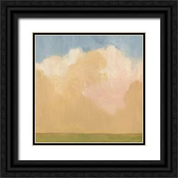 Scarvey, Emma 12x12 Black Ornate Wood Framed with Double Matting Museum Art Print Titled - Evening Plane I
