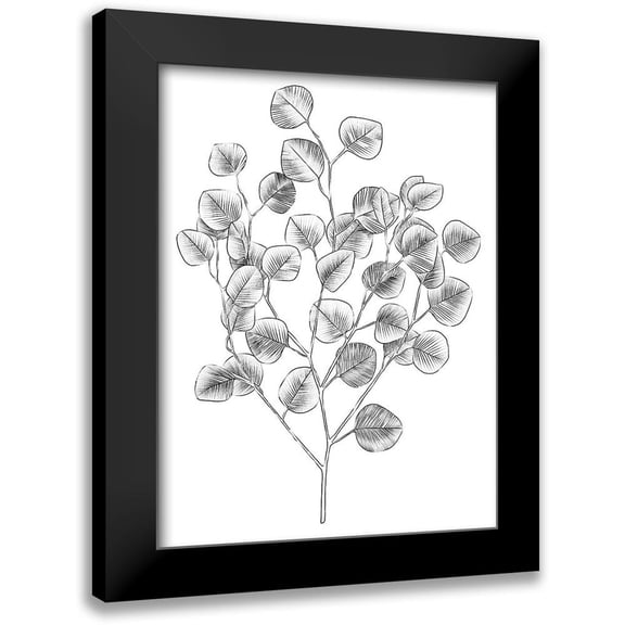 Scarvey, Emma 12x14 Black Modern Framed Museum Art Print Titled - Eucalyptus Sketch I