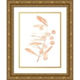 thumbnail image 1 of Scarvey, Emma 12x14 Gold Ornate Wood Framed with Double Matting Museum Art Print Titled - Blush Olive Branch III, 1 of 4