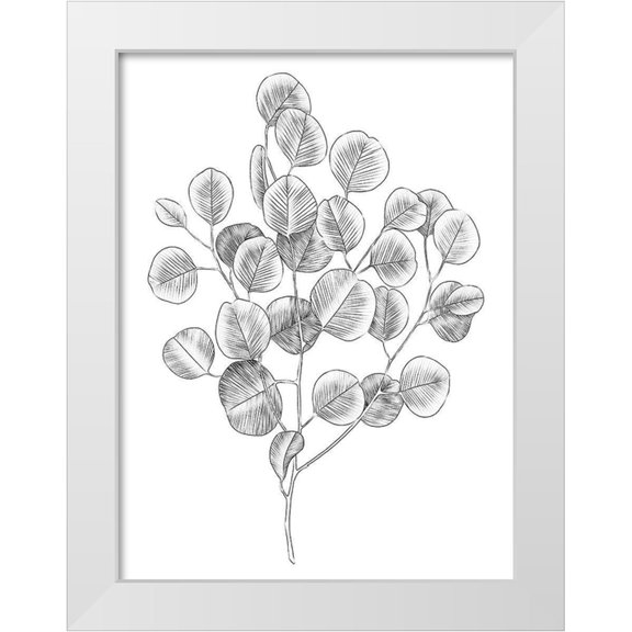Scarvey, Emma 12x14 White Modern Wood Framed Museum Art Print Titled - Eucalyptus Sketch II