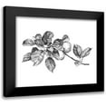 thumbnail image 1 of Scarvey, Emma 14x12 Black Modern Framed Museum Art Print Titled - Apple Etching I, 1 of 5