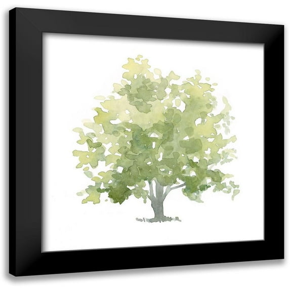 Scarvey, Emma 15x15 Black Modern Framed Museum Art Print Titled - Lonely Oak II