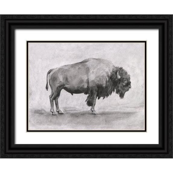 Scarvey, Emma 18x15 Black Ornate Wood Framed with Double Matting Museum Art Print Titled - Wild Bison Study I