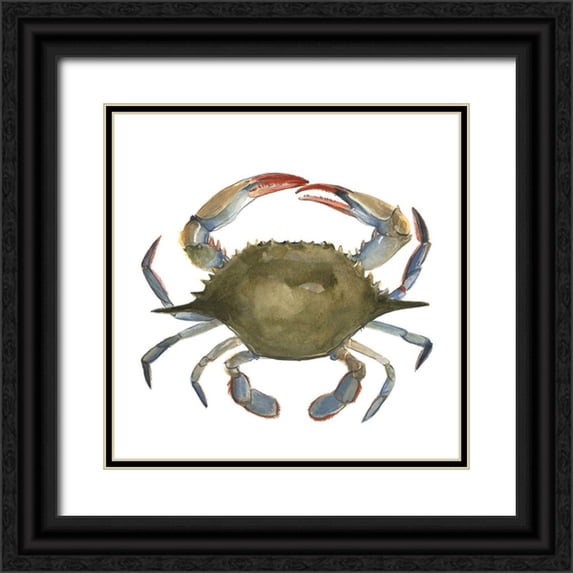 Scarvey, Emma 20x20 Black Ornate Wood Framed with Double Matting Museum Art Print Titled - Watercolor Crab II