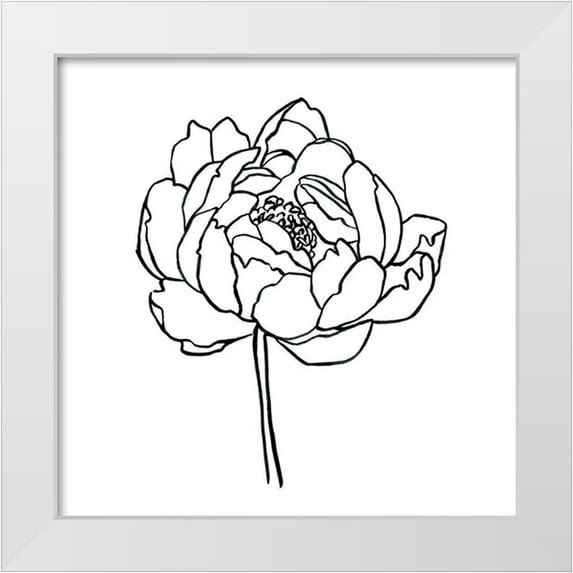 Scarvey, Emma 20x20 White Modern Wood Framed Museum Art Print Titled - Peony Contour I