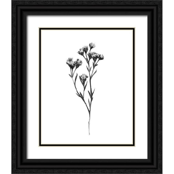 Scarvey, Emma 20x24 Black Ornate Wood Framed with Double Matting Museum Art Print Titled - Wild Thistle II