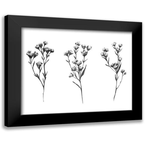 Scarvey, Emma 24x20 Black Modern Framed Museum Art Print Titled - Wild Thistle V