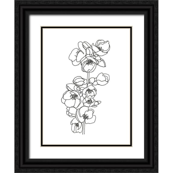 Scarvey, Emma 25x32 Black Ornate Wood Framed with Double Matting Museum Art Print Titled - Quince Blossom Contour II
