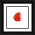 thumbnail image 1 of Scarvey, Emma 26x26 Black Ornate Wood Framed with Double Matting Museum Art Print Titled - Discus Fish V, 1 of 4