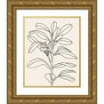 thumbnail image 1 of Scarvey, Emma 26x32 Gold Ornate Wood Framed with Double Matting Museum Art Print Titled - Olive Branch Contour I, 1 of 4