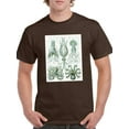 thumbnail image 1 of Scary Sea Creatures T-Shirt Men -Fab Funky Designs, Male Small, 1 of 4