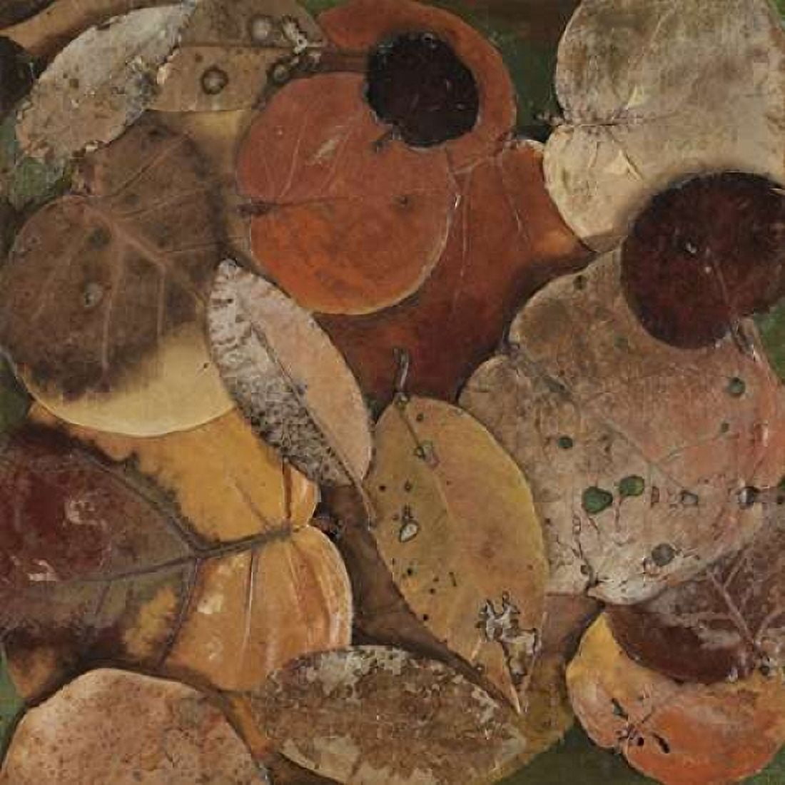 Scattered Leaves I Canvas Art - Patricia Pinto (24 x 24)
