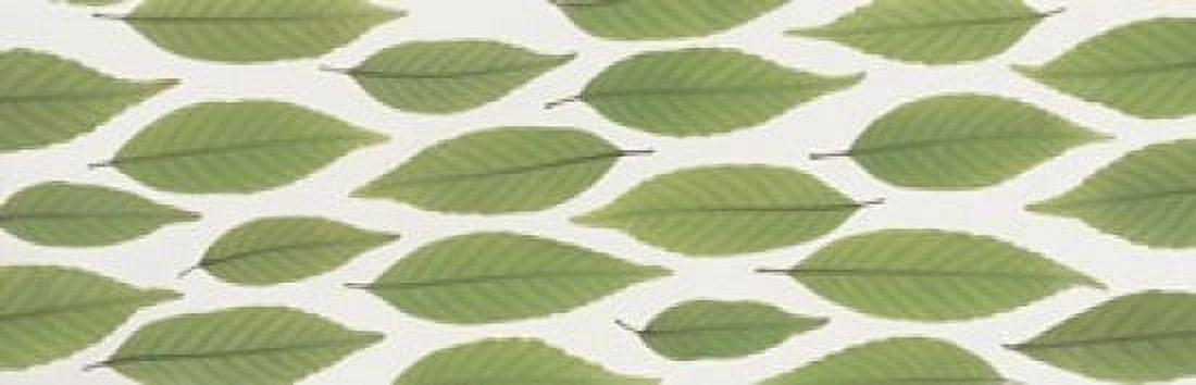 Scattered leaves Canvas Art - Panoramic Images (36 x 12)