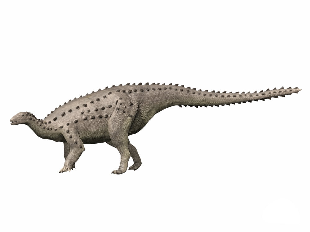 Scelidosaurus harrisonii Early Cretaceous of England Canvas Art - Nobumichi TamuraStocktrek Images (33 x 25)