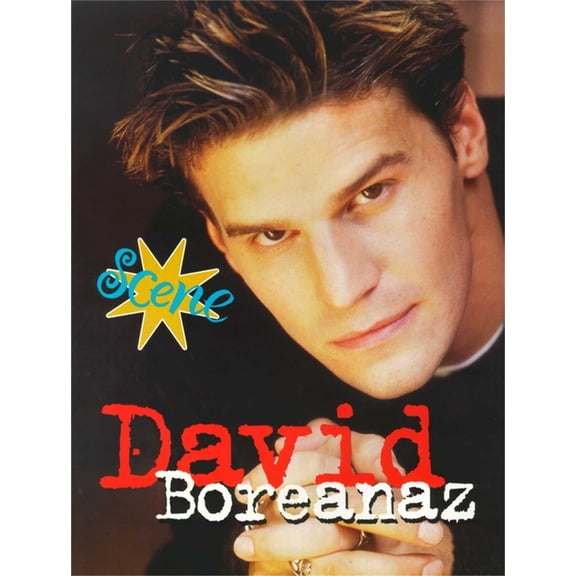 Pre-Owned Scene!: David Boreanaz (Series #9) (Paperback)