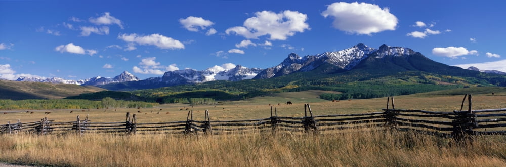Scene along Last Doller Road North of Telluride Colorado USA Canvas Art - Panoramic Images (36 x 12)