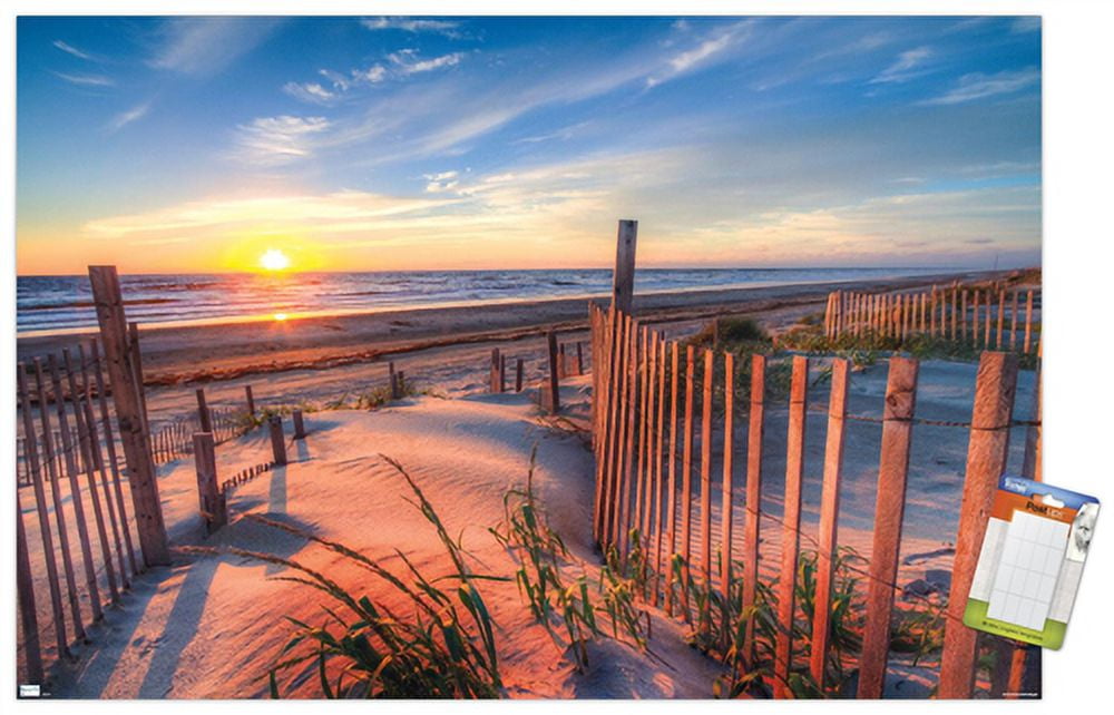 Scenery - Boardwalk Wall Poster, 22.375" x 34"