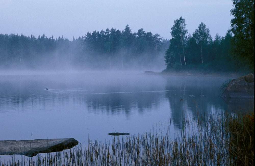 Scenery Pond Swede Canvas Art - Panoramic Images (24 x 36)