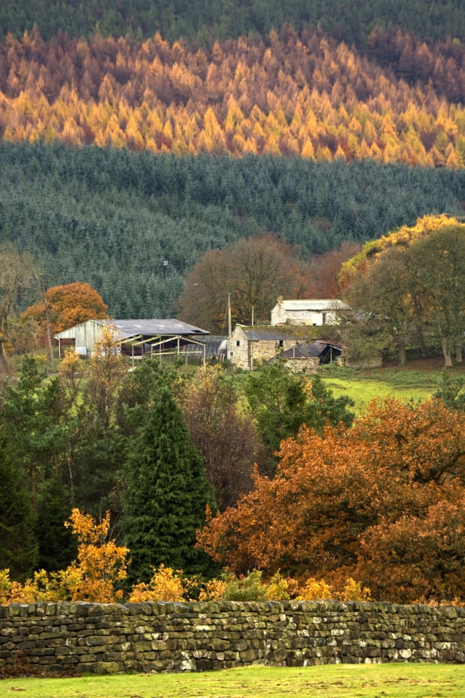 Scenic Autumn Landscape With Country Houses England Uk Canvas Art - John Short Design Pics (12 x 18)