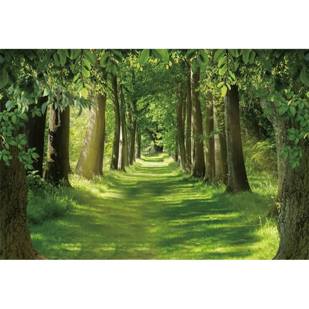 Scenic Backdrops Photo Photography Natural Forest Leaves Spring Forest