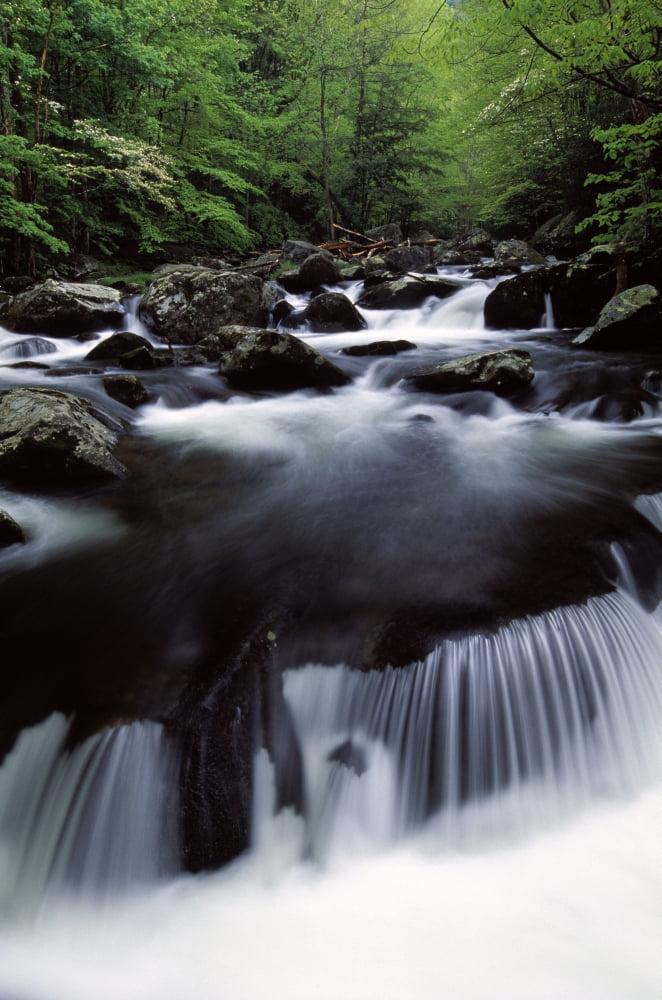 Scenic Creek Tennessee Usa Canvas Art - Natural Selection Robert Cable Design Pics (12 x 18)