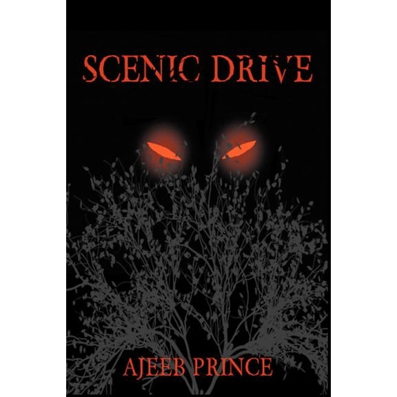 Scenic Drive Paperback Mr Ajeeb Prince