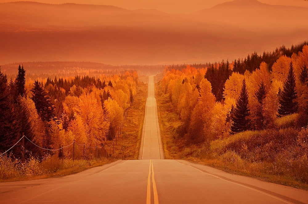 Scenic Highway Canvas Art - Con Tanasiuk Design Pics (17 x 11)