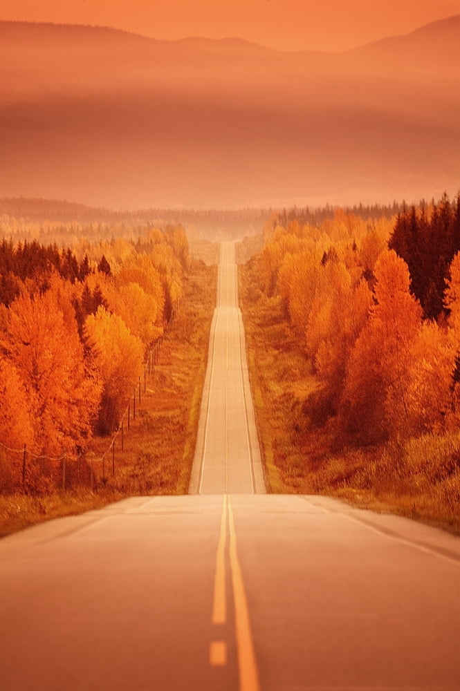 Scenic Highway Canvas Art - Con Tanasiuk Design Pics (22 x 34)