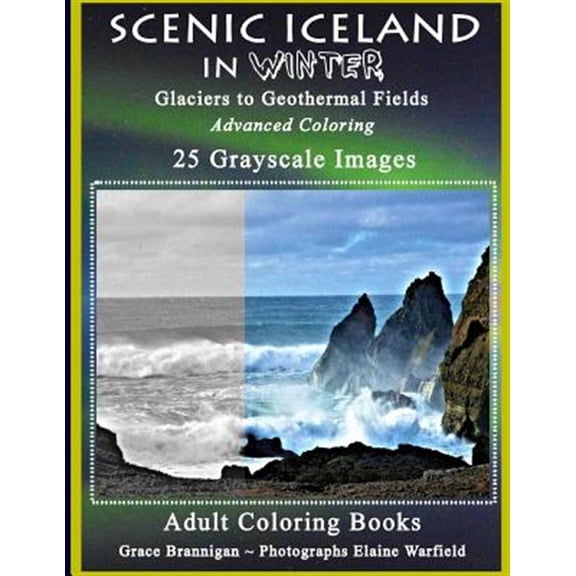 Pre-Owned Scenic Iceland in Winter: Glaciers to Geothermal Fields: Advanced Coloring 25 Grayscale Images Adult Coloring Books Paperback Grace Brannigan