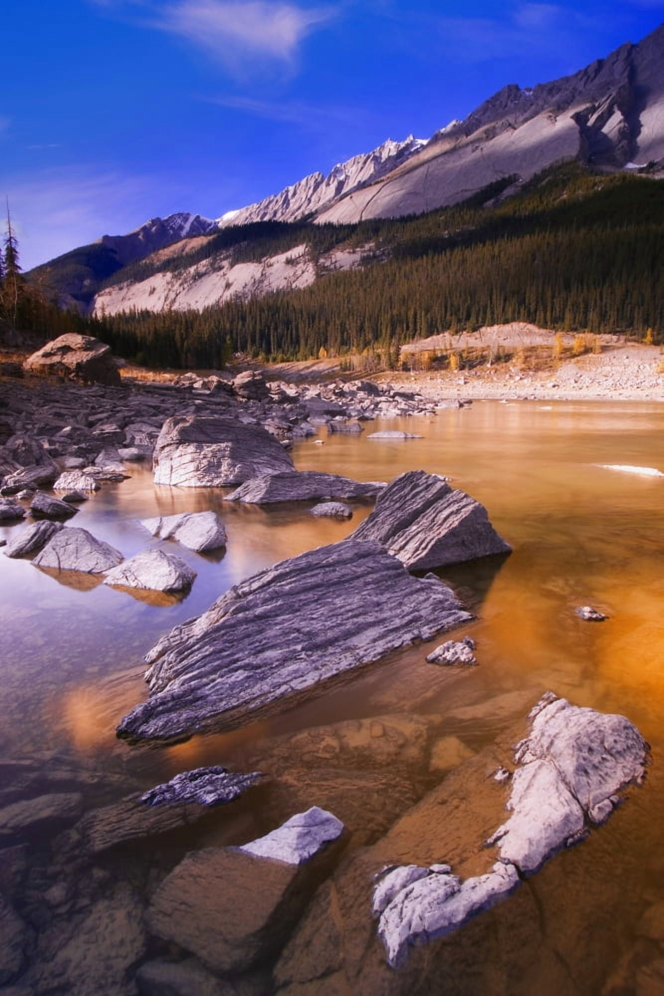 Scenic Mountain Lake Jasper National Park Jasper Alberta Canada Canvas Art - Carson Ganci Design Pics (11 x 17)