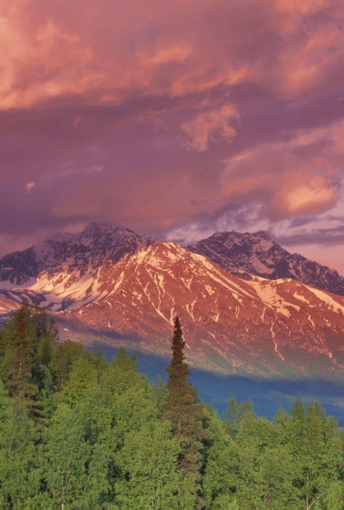 Scenic Of Eagle River Valley Chugach Mtns Sc Ak Summer Canvas Art - Michael DeYoung Design Pics (22 x 32)