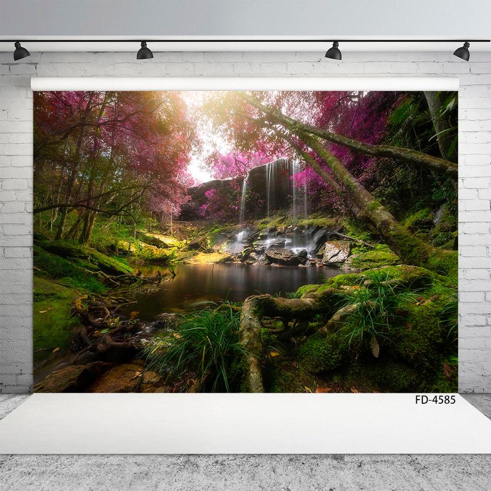 Scenic Spring Forest Peach Blossom Woods Scenery Background Child Young ...