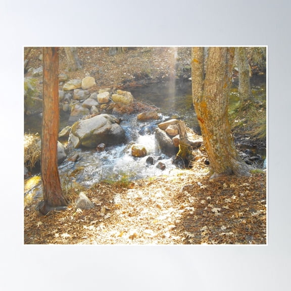 Scenic Stream Poster Wall Art, Modern Wall Decor, 24x36 UNFRAMED