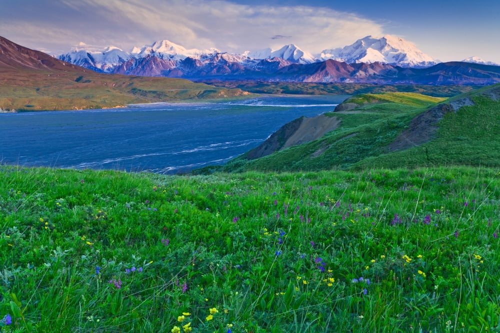 Scenic Sunset View Of Grassy Pass And Wildflowers Above Thorofare River And Alaska Range Denali National Park & Preserve Interior Alaska Summer Canvas Art - Michael DeYoung Design Pics (34 x 22)