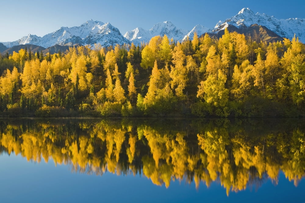 Scenic View Of Chugach Mountains Matanuska Valley Along Weiner Lake In Southcentral Alaska During Fall Canvas Art - Michael DeYoung Design Pics (38 x 24)