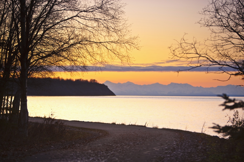 Scenic View Of Cook Inlet Along The Tony Knowles Coastal Trail At Sunset Anchorage Southcentral Alaska Canvas Art - Kevin Smith Design Pics (38 x 24)