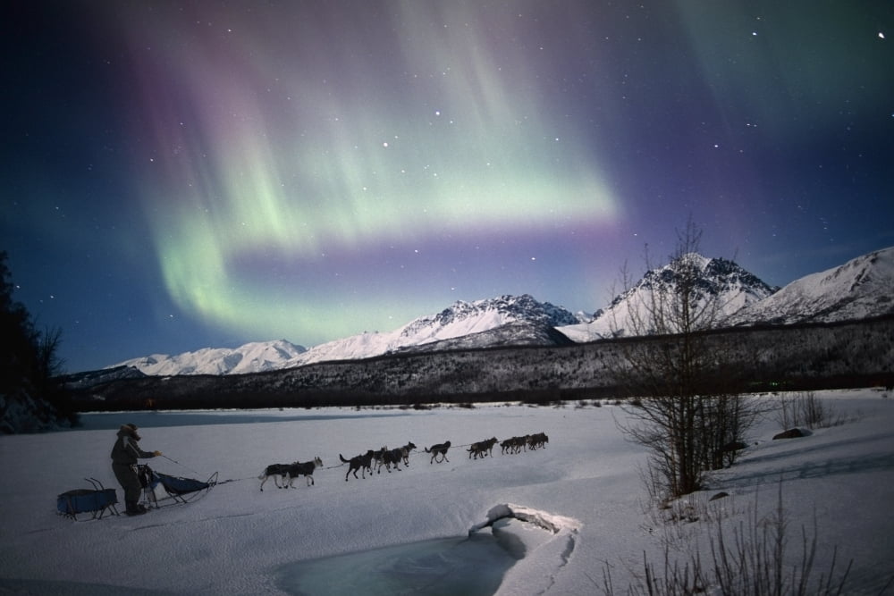 Scenic View Of Dog Team Mushing On The Matanuska River With Northern Lights Overhead Matanuska Susitna Valley Southcentral Alaska Winter Composite Canvas Art - Composite Image Design Pics (17 x 11)