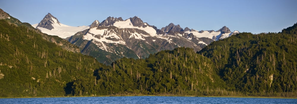 Scenic View Of Double Glacier Chigmit Mountains And Big River Lakes In Lake Clark National Park During Summer In Southcentral Alaska Canvas Art - Jeff Schultz Design Pics (44 x 15)