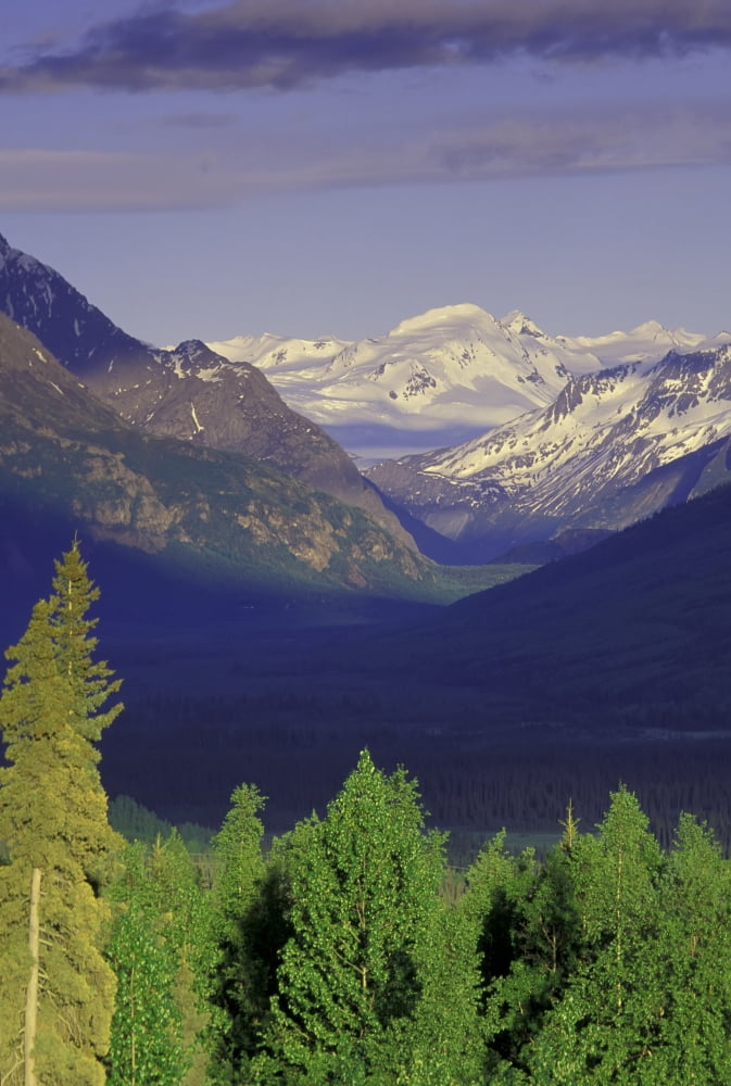 Scenic View Of Eagle River Valley Along Crow Pass Trail In Chugach State Park Southcentral Alaska Summer Canvas Art - Michael DeYoung Design Pics (11 x 17)