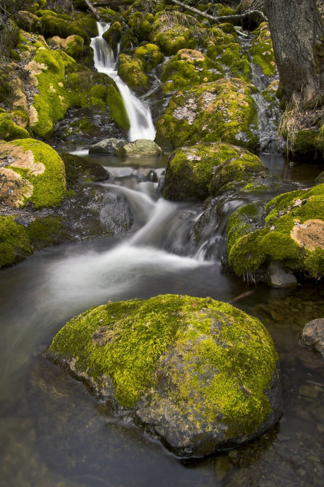 Scenic View Of Falls Creek And Waterfall With Moss Covered Rocks Turnagain Arm Chugach State ParkSouthcentral Alaska Spring Canvas Art - Hal Gage Design Pics (12 x 19)
