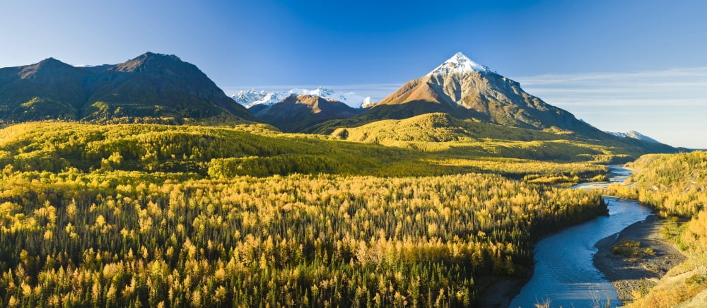 Scenic View Of King Mountain And The Chugach Mountains Along The Matanuska River In Southcentral Alaska During Fall Canvas Art - Michael DeYoung Design Pics (42 x 18)