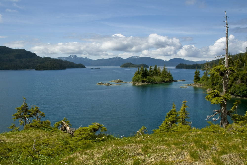 Scenic View Looking Out Of Johnson Bay Into Knight Island Passage And Prince William Sound Kenai Peninsula Southcentral Alaska Summer Canvas Art - Cathy Hart Design Pics (34 x 22)