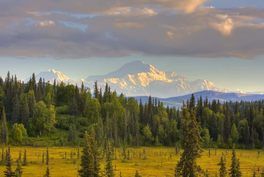 Scenic View Of Mount Mckinley From South Of Denali National Park Southcentral Alaska Summer Hdr Image Canvas Art - Michael Criss  Design Pics (34 x 22)