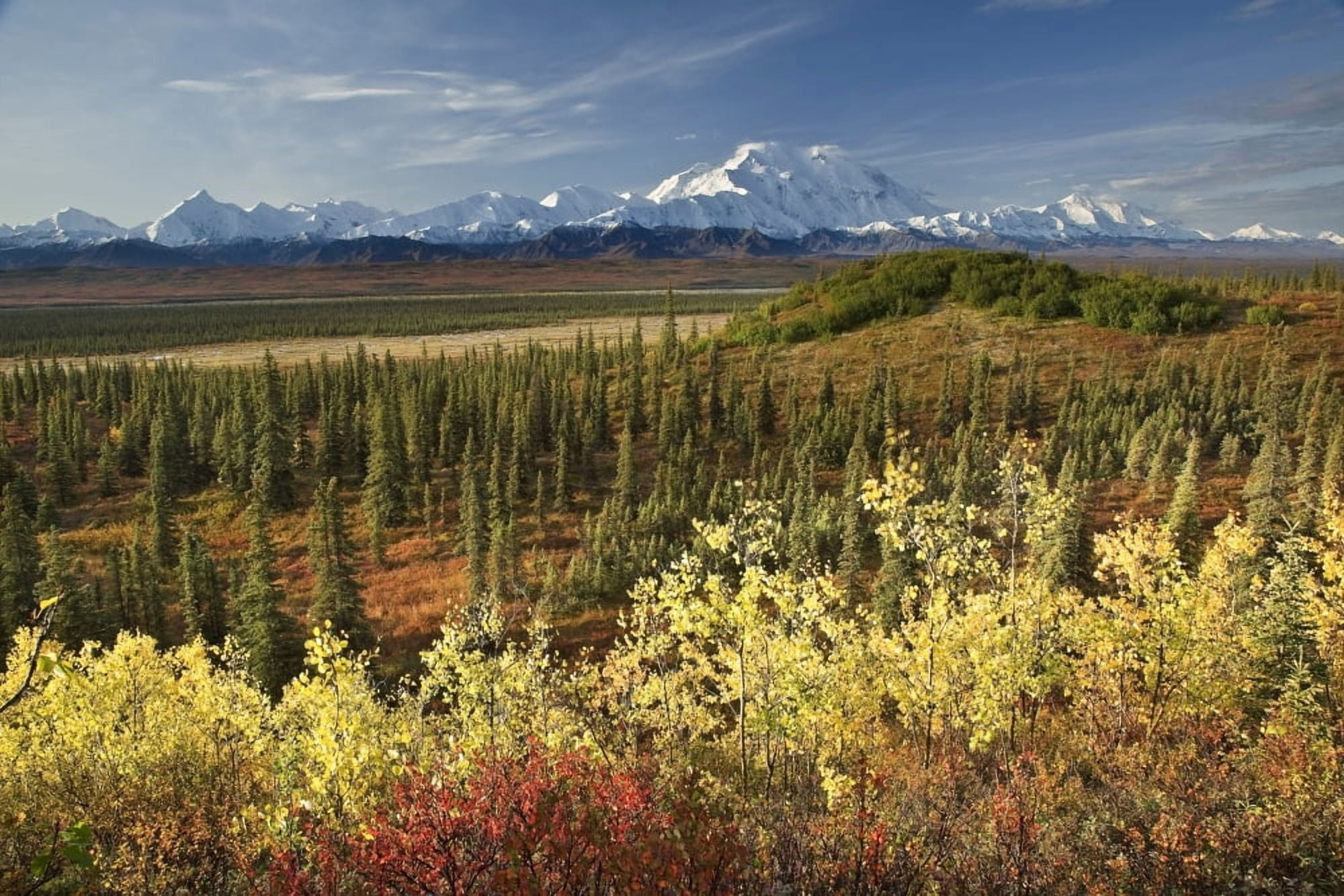 Scenic View Of Mt Mckinley And The Alaska Range With Taiga And Fall Colors In The Foreground Near Wonder Lake In Denali National Park Alaska Canvas Art - John Delapp Design Pics (34 x 22)