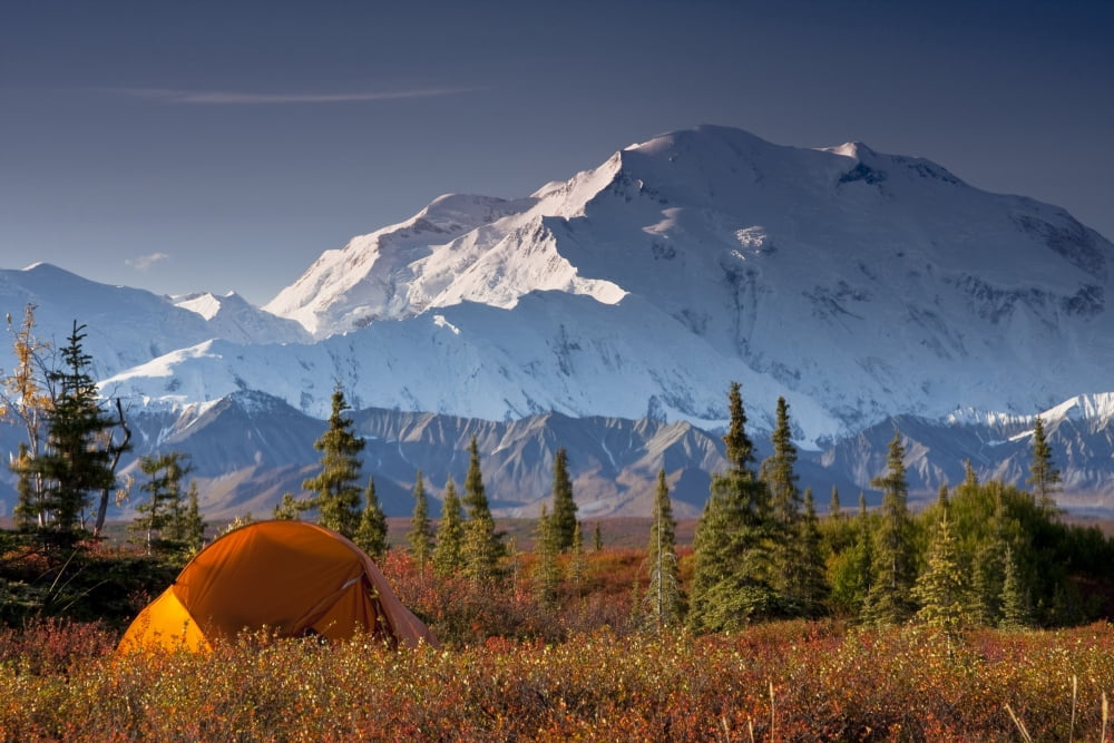 Scenic View Of Mt Mckinley In The Morning With Tent In The Foreground Denali National Park Interior Alaska Autumn Canvas Art - Lynn Wegener Design Pics (17 x 11)