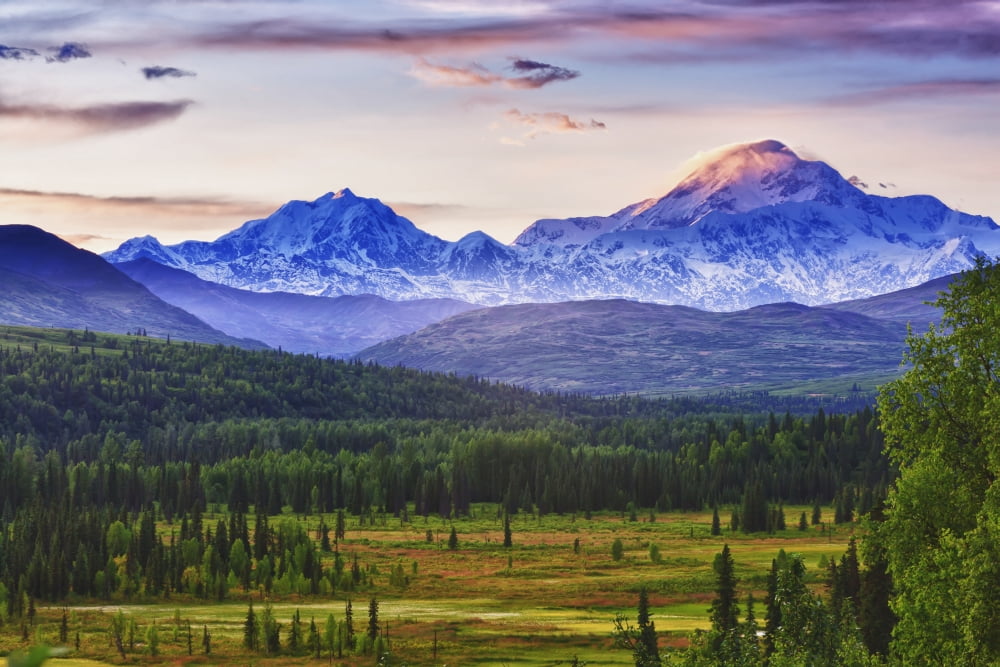 Scenic View Of Mt Mckinley And Mt Hunter Seen From Susitna Valley Along Petersville Road Southcentral Alaska Summer Hdr Canvas Art - Michael DeYoung Design Pics (38 x 24)