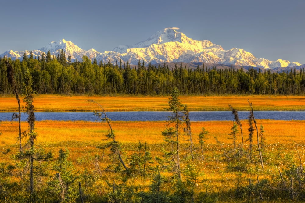 Scenic View Of Mt Mckinley At Sunset As Seen From South Of The Denali National Park Southcentral Alaska Summer Hdr Image Canvas Art - Michael Criss Design Pics (19 x 12)