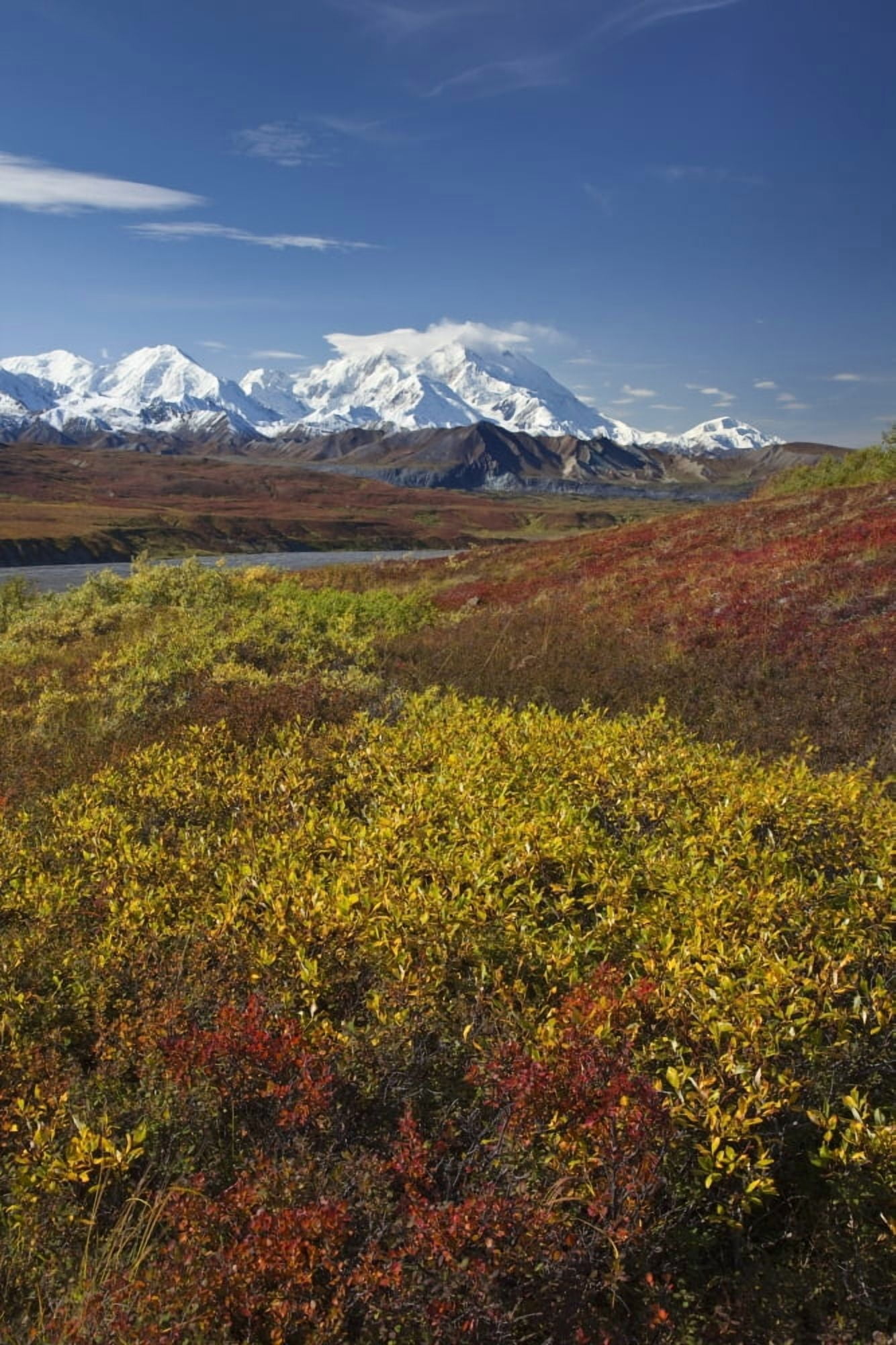 Scenic View Of MtMckinley From Thorofare Pass With Colorful Autumn Tundra In The Foreground Denali National Park Interior Alaska Canvas Art - John Delapp Design Pics (22 x 34)