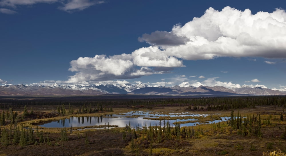 Scenic View Of A Kettle Pond With The Alaska Range In The Background Interior Alaska Canvas Art - Hal Gage Design Pics (36 x 20)